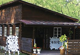 shutterstock_1898354080_edited.jpg