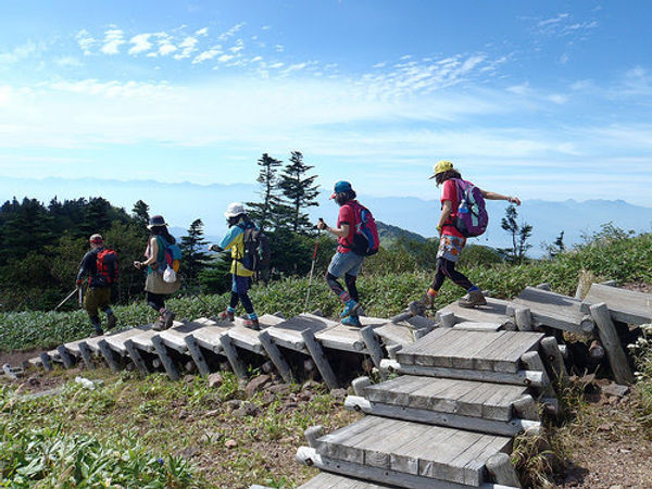 四阿山_自然_登山道_03.jpeg