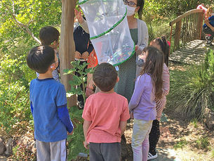 It's Butterfly Season