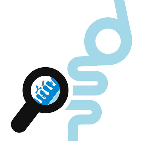 GutGuide®-grafiikkaa. Kuvassa on suurennuslasi, jonka läpi näkyy suolinukkaa ja suolistobakteereja. Taustalla tyylitelty vaaleansininen suolistografiikka