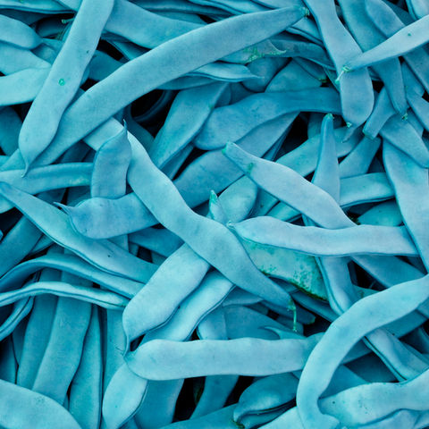 GutGuide®-grafiikkaa, jossa sinisisä guarpapuja