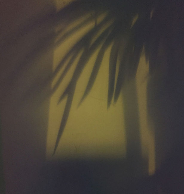 Shadow Hunter