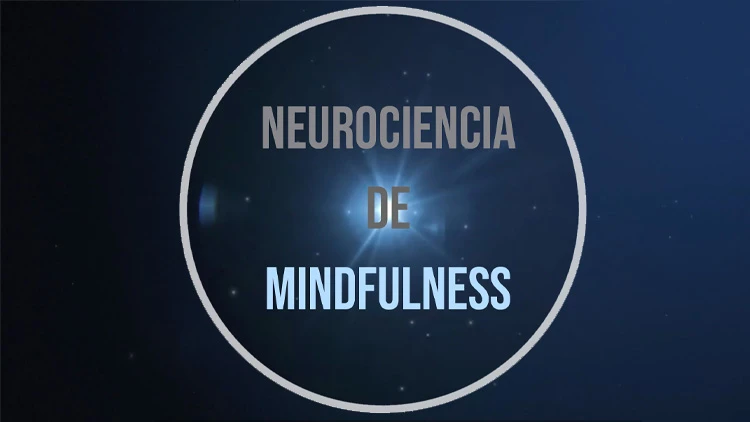 Logo del curso