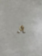 תמונה ממוזערת: עגילי אליאנה גולד