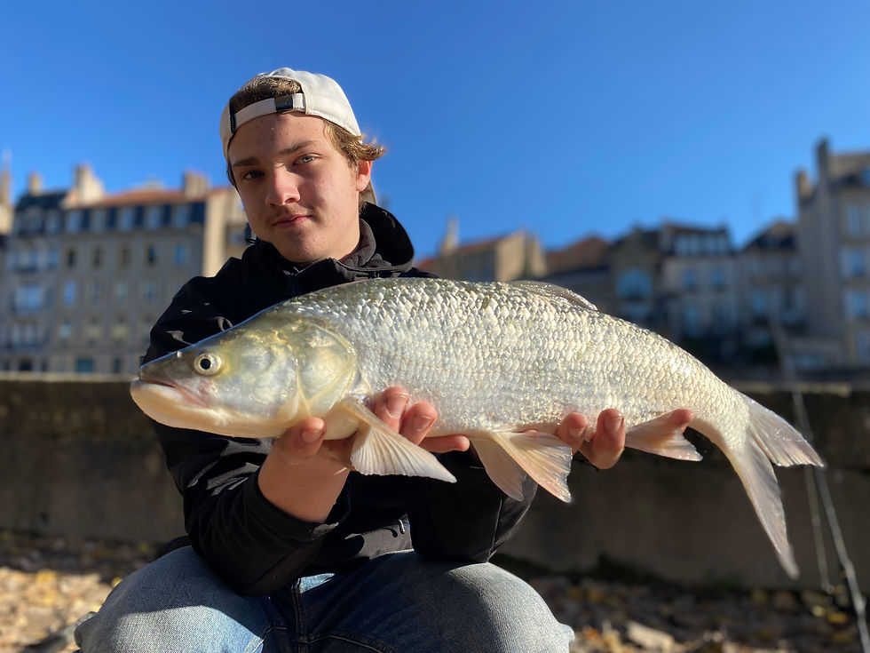 jft leurre manche 2 (metz) (2)