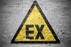 atex inspection service