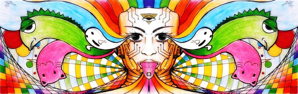 lsd