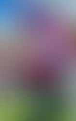 09/01/25 Missouri Mondays - “The power of the people is greater than the people in power! Join Labor Day rallies and events this week to fight Trump’s power grab!