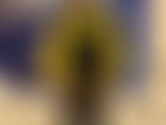 Europa Regional Council Present the New Chapter President of Bharat Aviary.