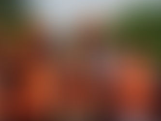 Aviary Club of Nigeria Applauds Edo State Government Renewed Fight Against Cultism and Kidnapping