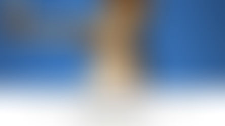 AVIARY CLUB OF NIGERIA PUBLIC AWARENESS NOTICE