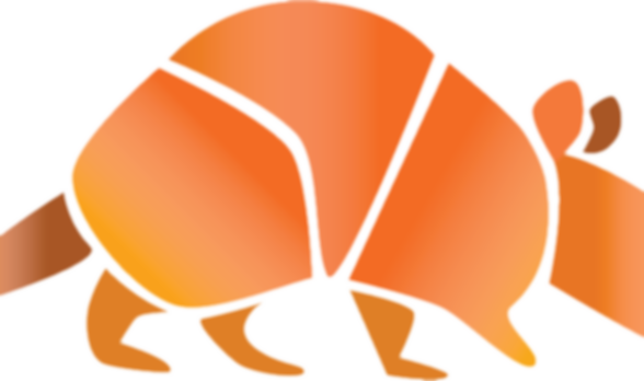ARMADILLO ORANGE GRADIENT (1).png