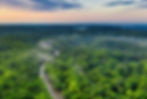 Scenic aerial view of a lush green forest with a river and mist at sunset, showcasing nature's beauty