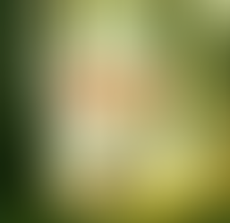 Pathé Toulon - programme Séances 16 octobre au 22 octobre 2024