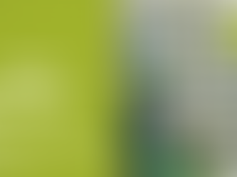 Ville de Draguignan - Agenda de Monsieur le Maire - Semaine 7