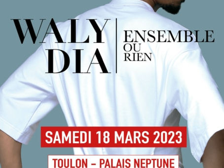 WALY DIA ENSEMBLE OU RIEN
