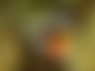 Le Tour de France débarque en région Sud !