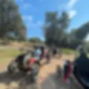 E-Vazion
