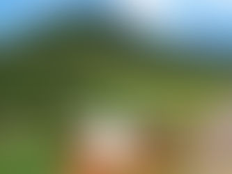 Portes-ouvertes et animations au jardin de l’Escarelle