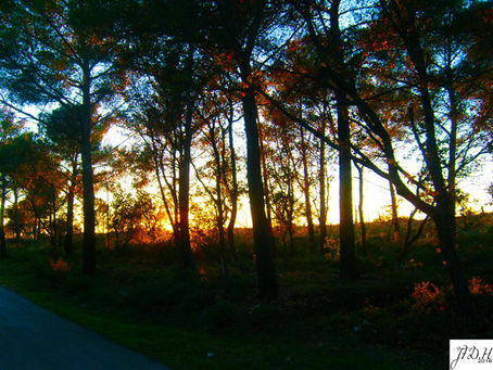 Office de Tourisme de la Vallée du Gapeau