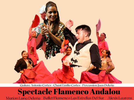 Chaque tableau a son propre costume, ce spectacle haut en couleur émerveille le public
