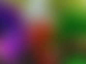 CARNAVAL DE NICE « Vive la Reine » - Ouverture de la billetterie en ligne du Carnaval 2026  !