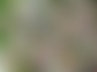 Fotogrametri untuk Monitoring Perumahan