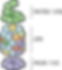 20S Immunoproteasome (Human) (PBMC)
