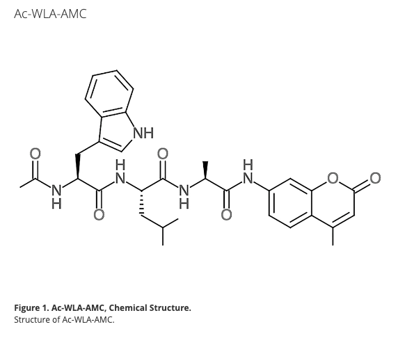 Ac-Trp-Leu-Ala-AMC (WLA-AMC)