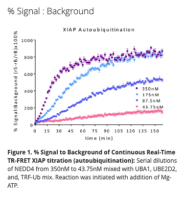 XIAP E3 Ligase TR-FRET Kit