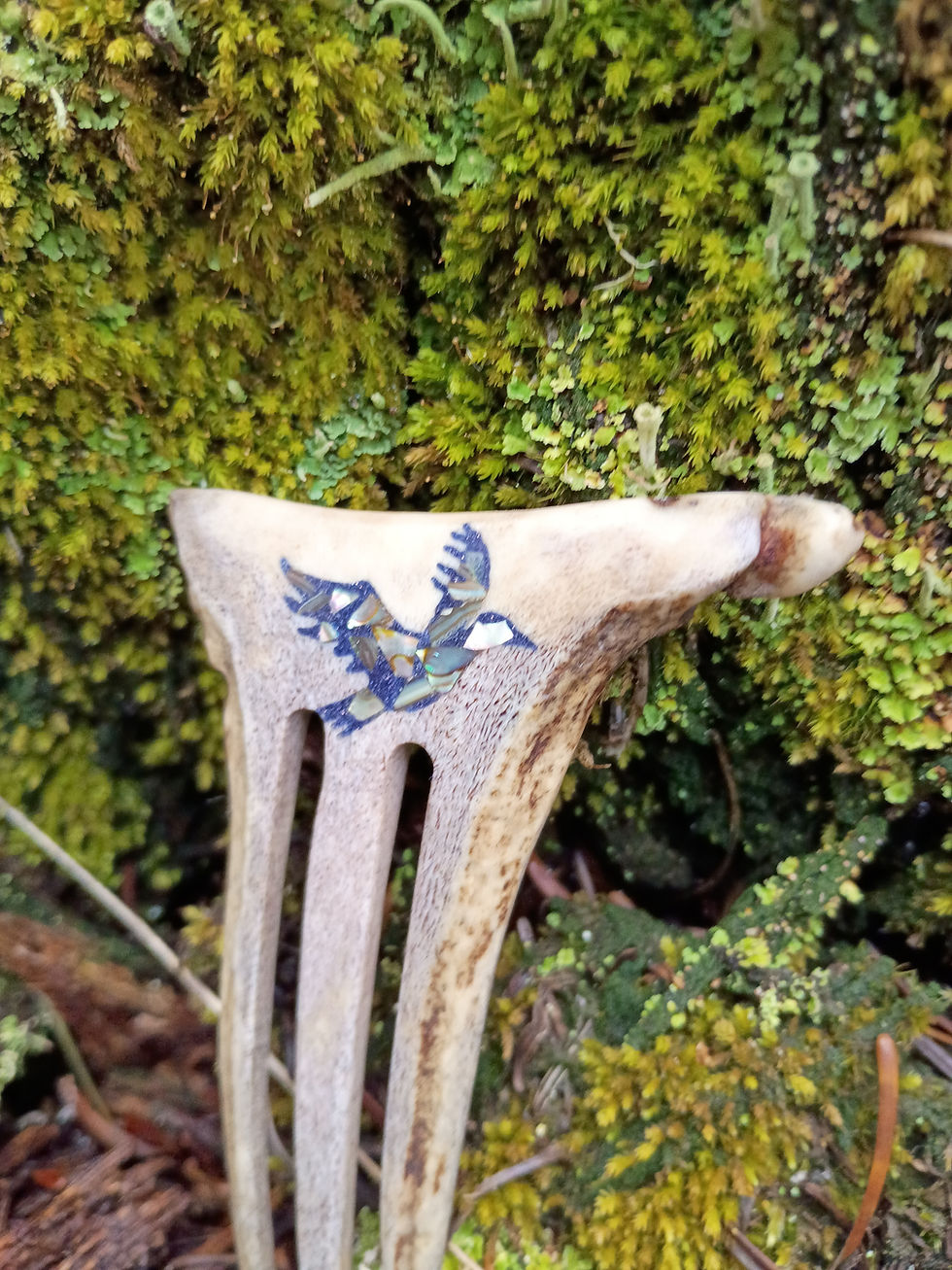 Thumbnail: Innanlands