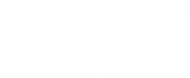3_edited_edited.png