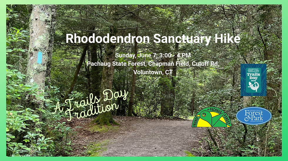 Rhododendron Sanctuary Hike
