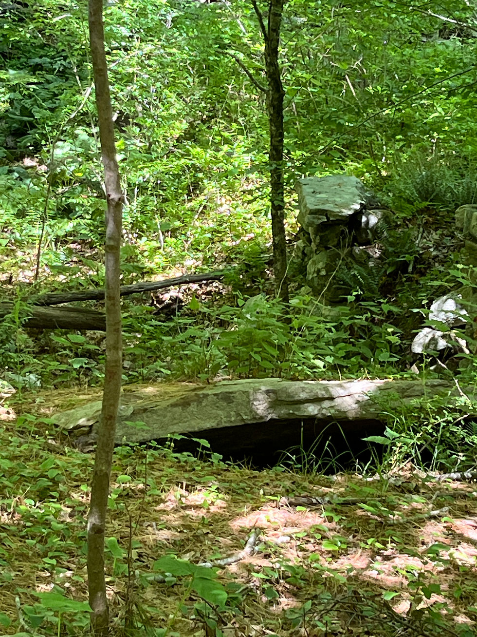 Summer Solstice Celebration