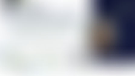 Des. de ferramentas de ajuda para fisiot. na aval. motora de crianças com doenças neuromusculares