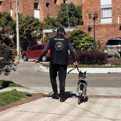 WhatsApp Image 2022-10-21 at 9.43.28 PM.jpeg