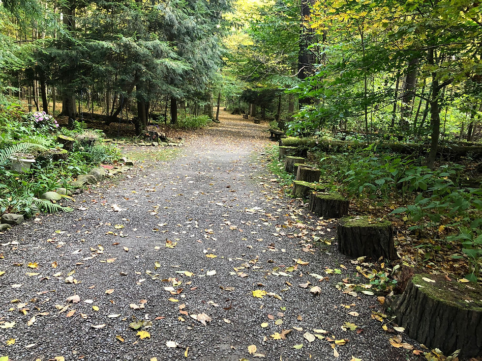 Historical Ghost Walk with Ron & Ray 