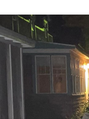 Paranormal Investigation with Diane Keally