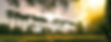 Parque Burle Marx entardecer 2_edited_edited.jpg