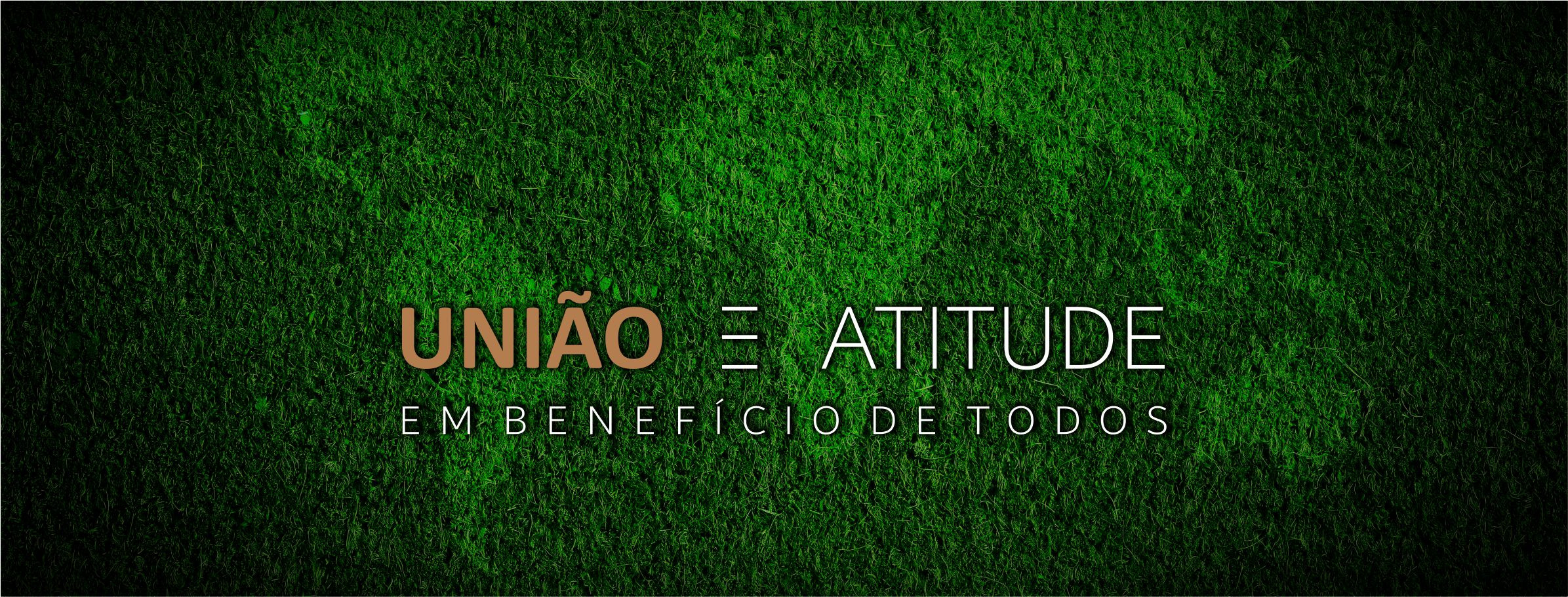 Associacao Atitude Paulista - Uniao dos Mic e Peq Emp e dos Prof Lib Emp do Est de Sp em Prol da Ger de Emp e Ren do Des Soc e da Pres Ambiental