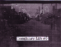 Imaginary Life