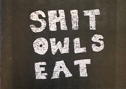 Shit Owls Eat