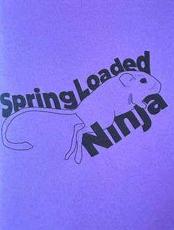 Spring Loaded Ninja