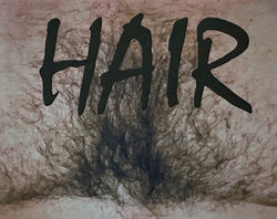 Hair