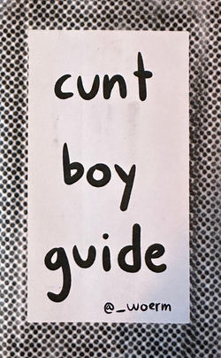 Cunt Boy Guide