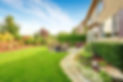 backyard.jpg