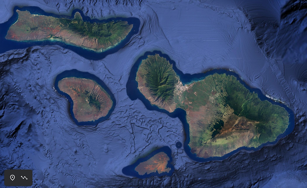 Screen Shot 2022-03-14 at 4.56.42 PM.png