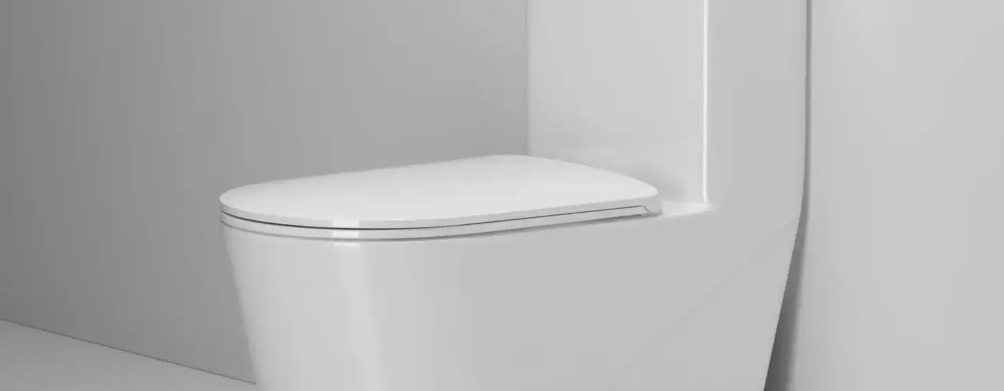 45-degree front side photo of model SA5015 seamless one-piece ceramic toilet, specially optimized for Southeast Asian humid weather. It features a slim flat tank lid for extra storage space, fully rimless bowl and nano stain-resistant glaze to stop mold buildup in hot damp bathrooms. Powerful vortex flushing works well under low water pressure, solid single-layer ceramic body offers long service life, perfect for condos, landed homes and renovation projects in Malaysia, Indonesia, Thailand, Singapore & Bangladesh.