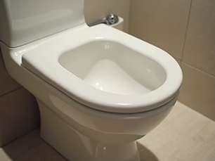 Affordable One Piece Ceramic Toilets for Bangladesh Homes