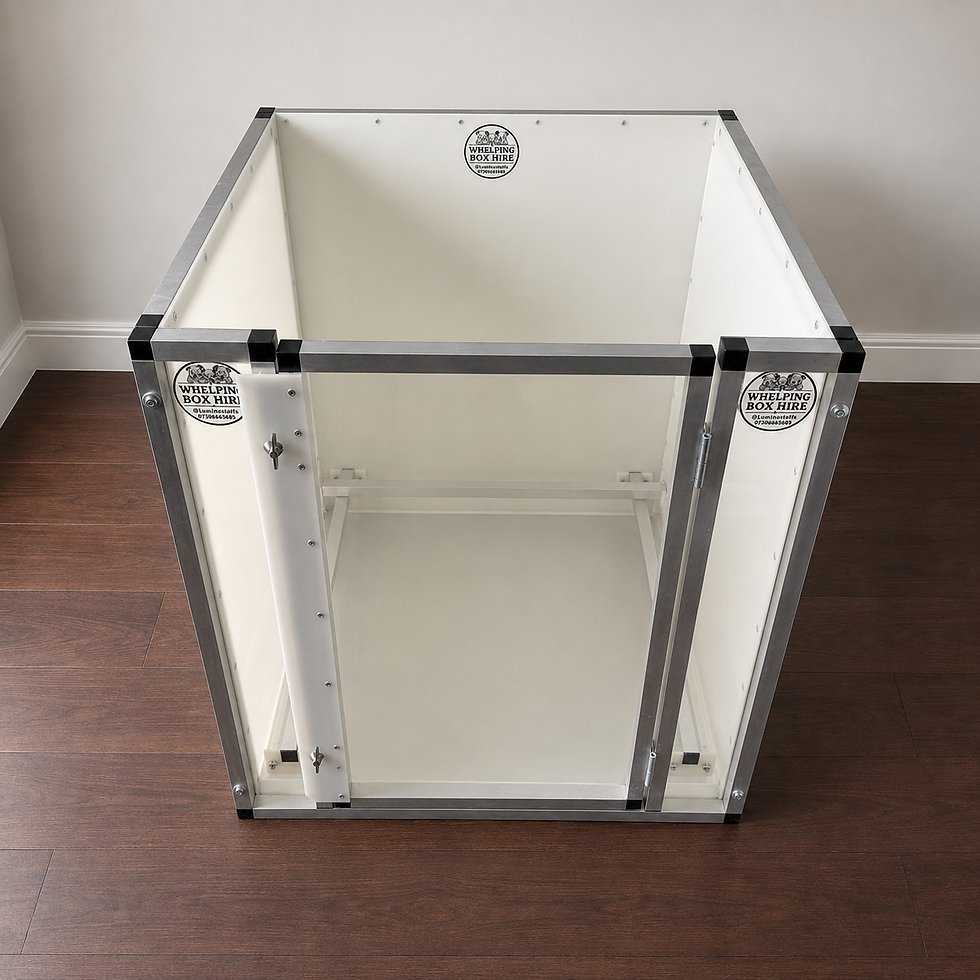 small-whelping-box-hire-edinburgh-box-1